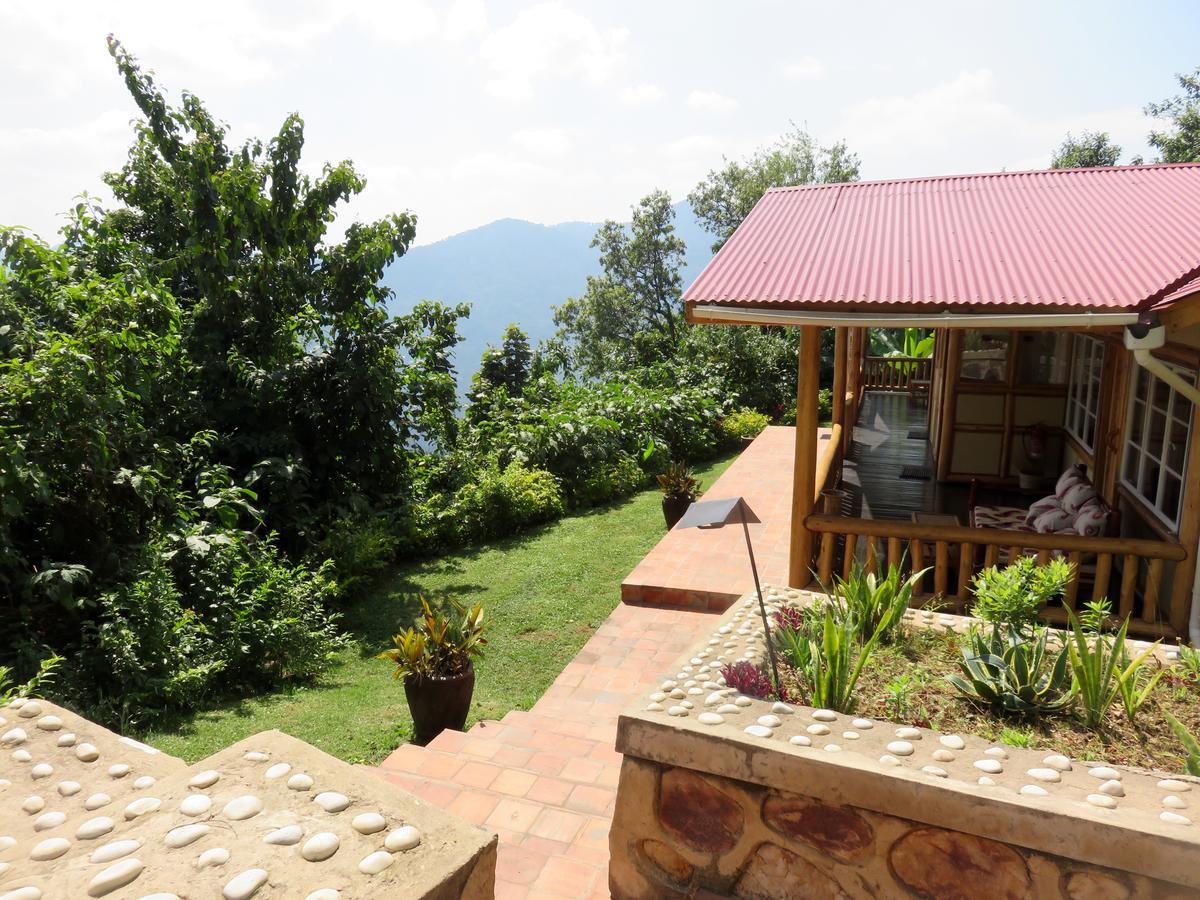 Nkuringo Bwindi Gorilla Lodge Εξωτερικό φωτογραφία