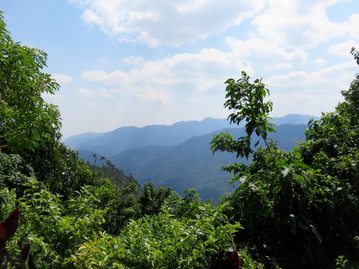 Nkuringo Bwindi Gorilla Lodge Εξωτερικό φωτογραφία