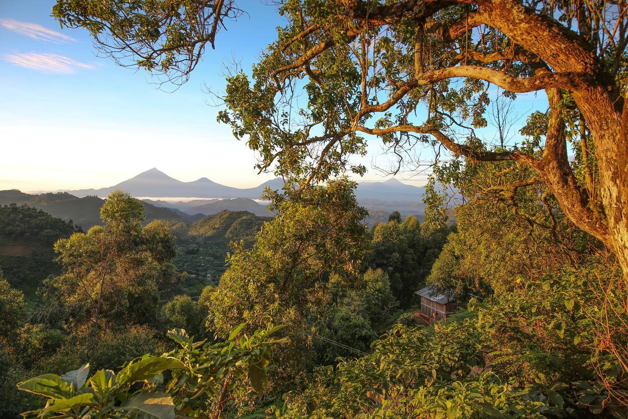 Nkuringo Bwindi Gorilla Lodge Εξωτερικό φωτογραφία