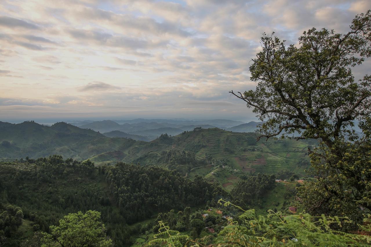 Nkuringo Bwindi Gorilla Lodge Εξωτερικό φωτογραφία