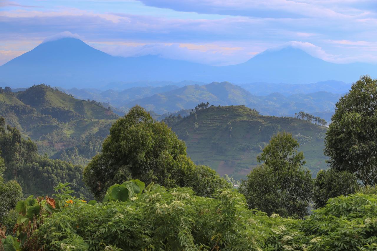 Nkuringo Bwindi Gorilla Lodge Εξωτερικό φωτογραφία